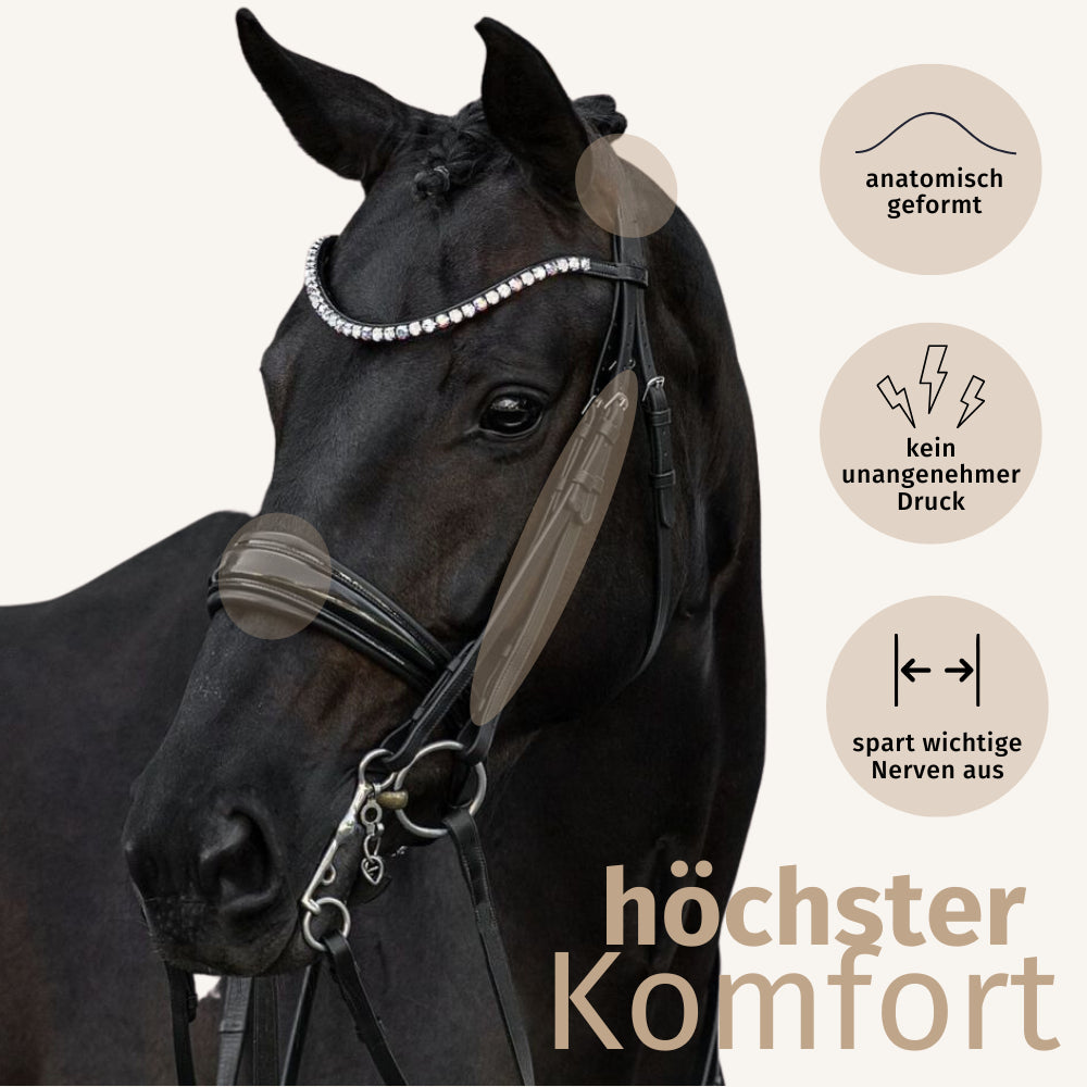 Kandarenzaum Rosano mit Wunschstirnriemen