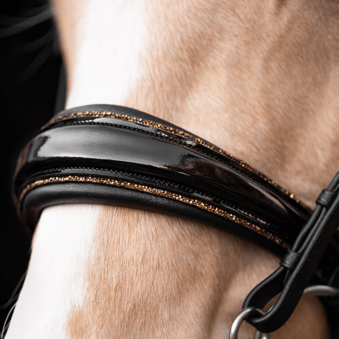 Kandarenzaum Gold Edition + Kandarenzügel + GRATIS Dust Bag