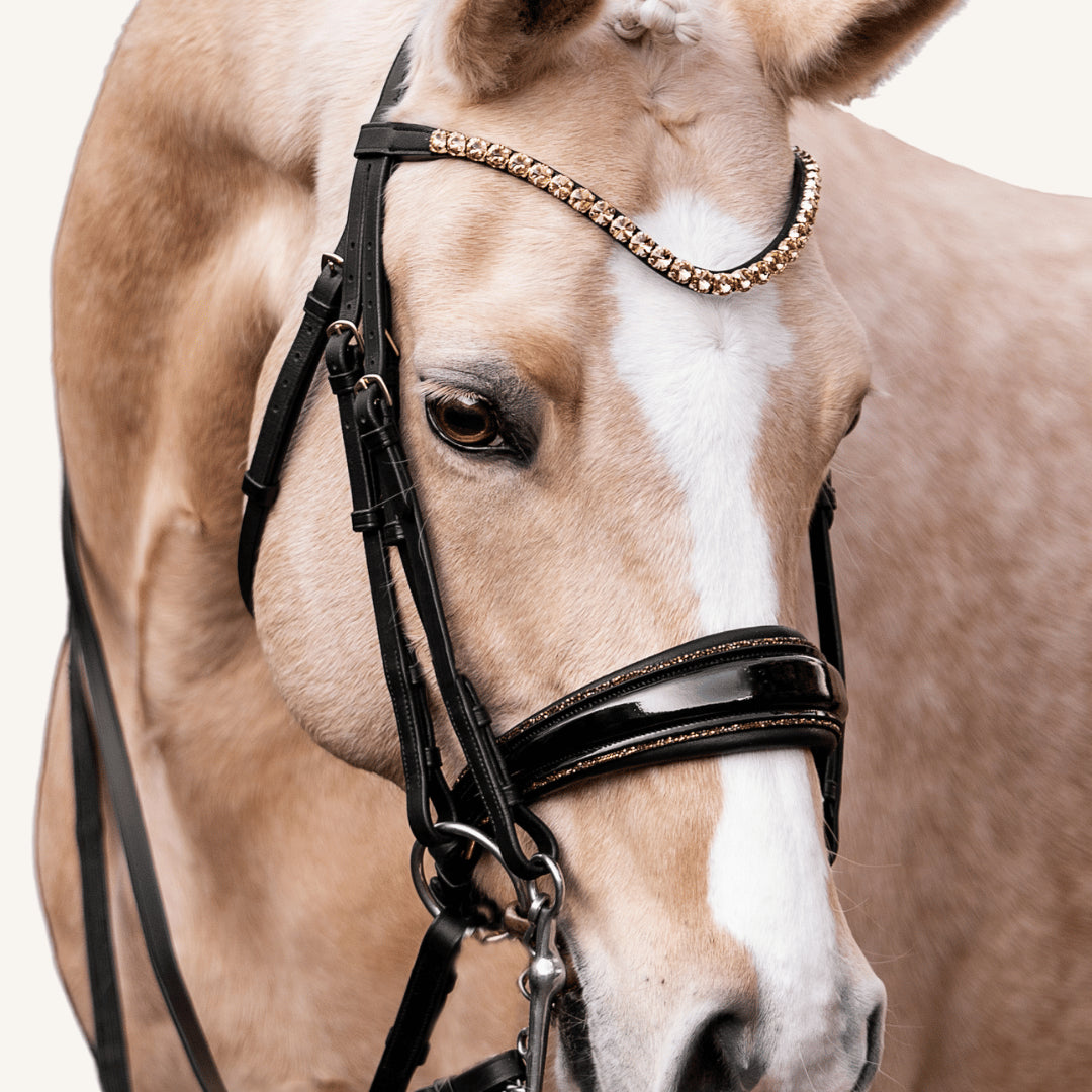 Kandarenzaum Gold Edition + Kandarenzügel + GRATIS Dust Bag