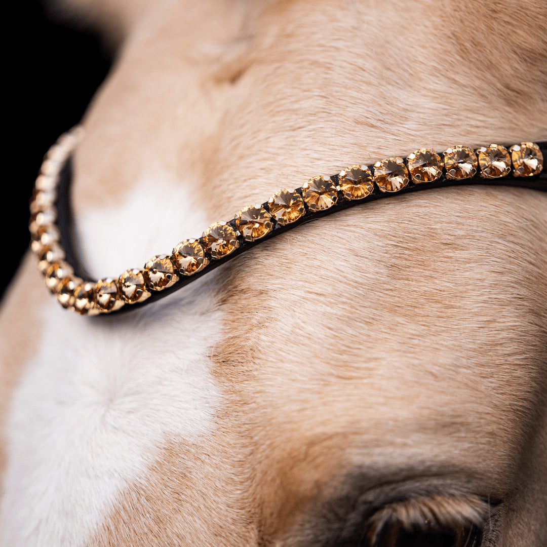 Kandarenzaum Gold Edition + Kandarenzügel + GRATIS Dust Bag