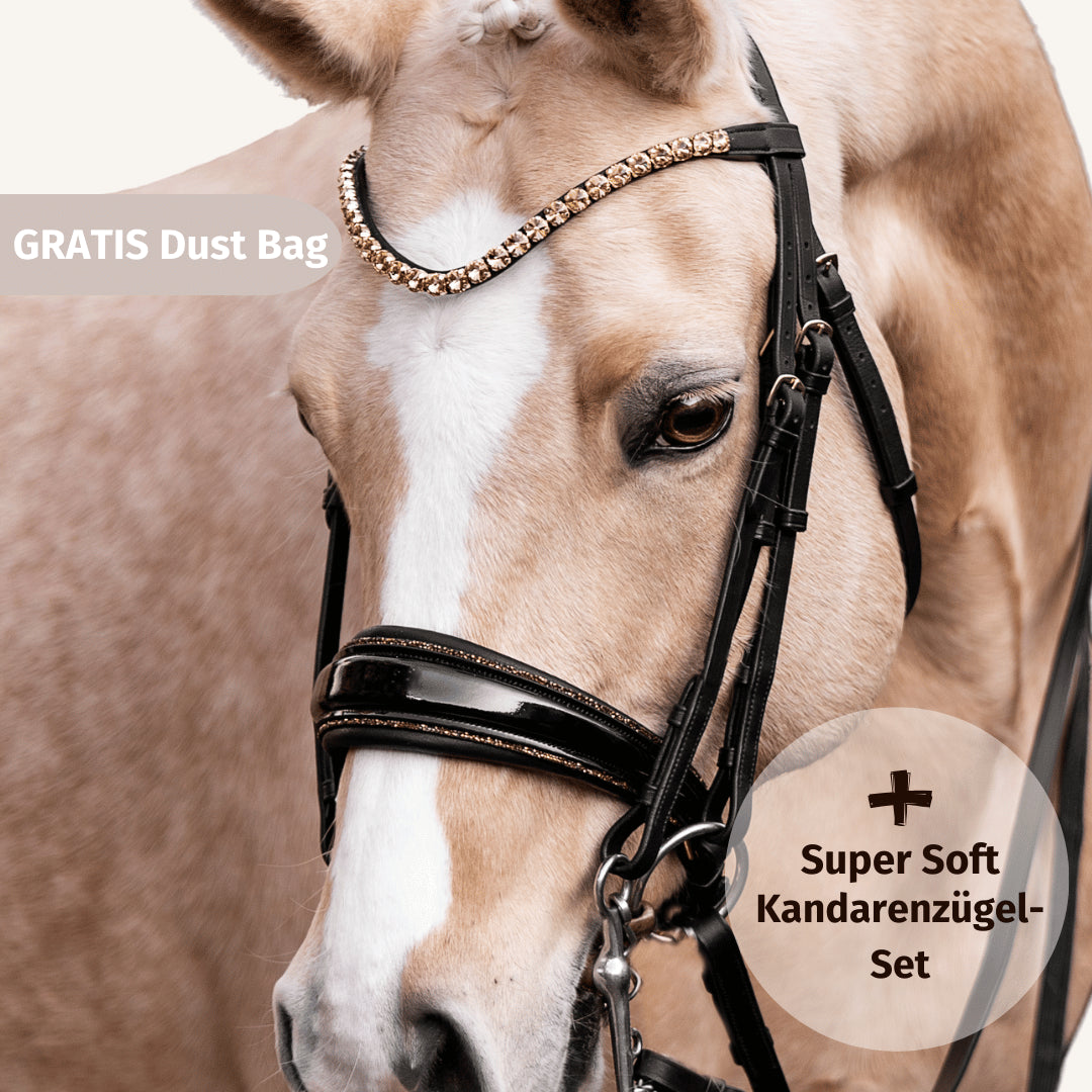 Kandarenzaum Gold Edition + Kandarenzügel + GRATIS Dust Bag
