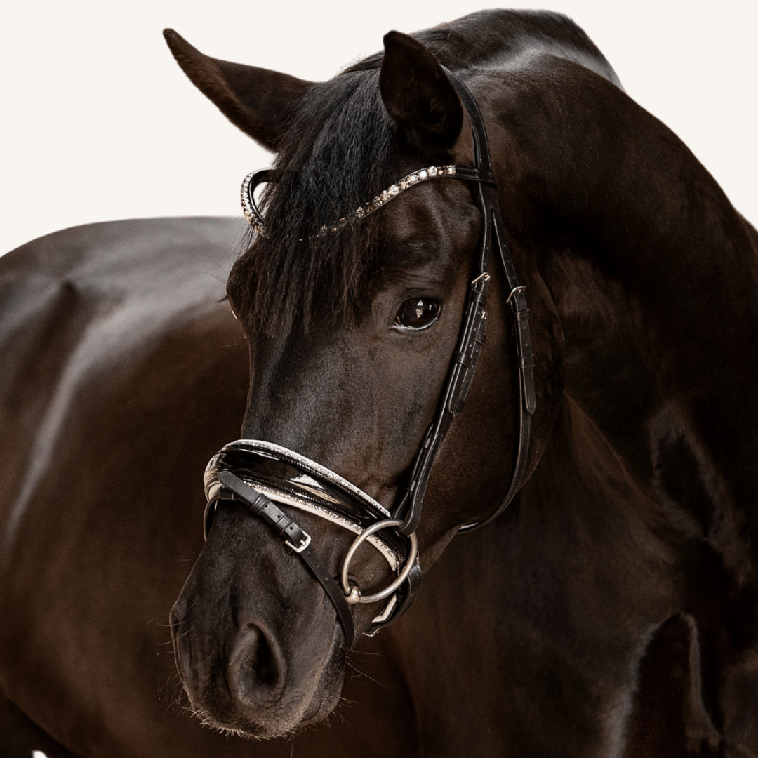 Trensenzaum Riva mit Wunschstirnriemen