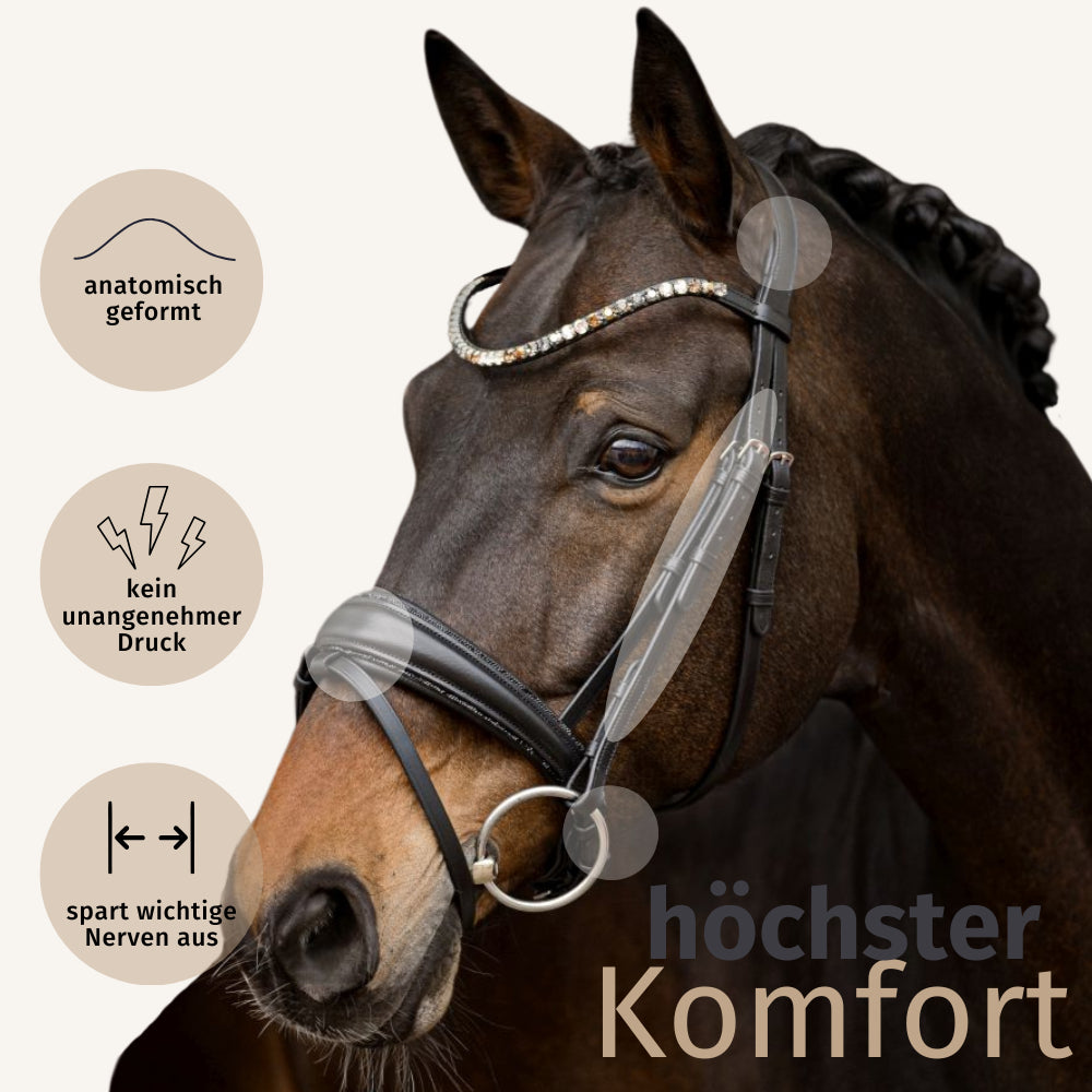 Trensenzaum Riva mit Wunschstirnriemen