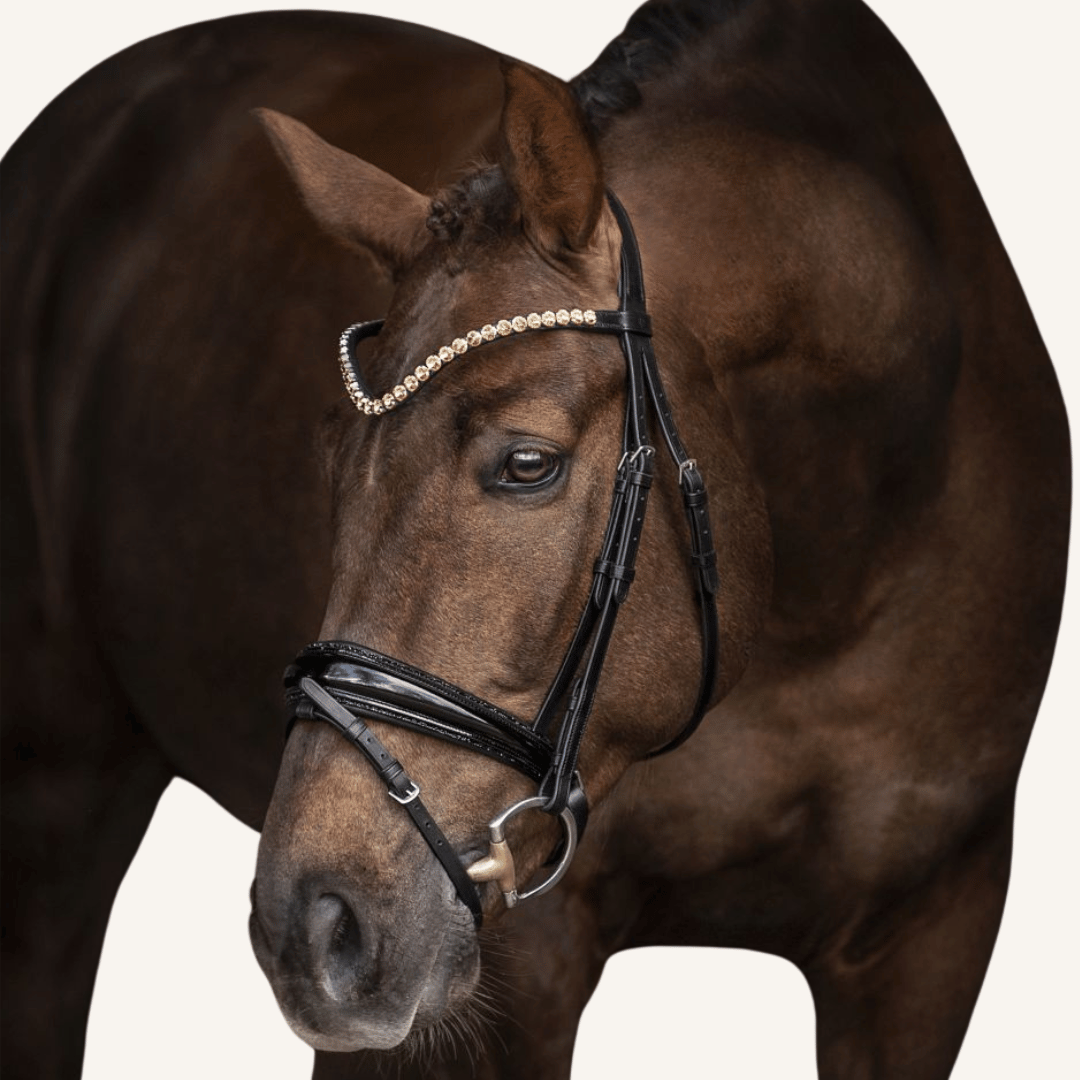 Trensenzaum Riva Pro mit Wunschstirnriemen