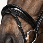 Trensenzaum Riva Pro mit Wunschstirnriemen