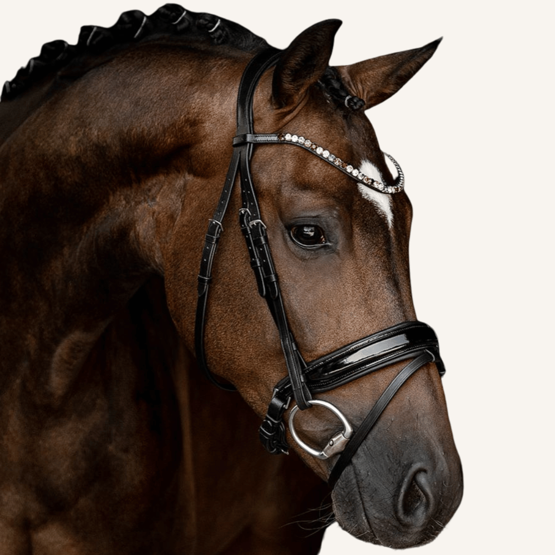 Trensenzaum Ravenna Pro mit Wunschstirnriemen