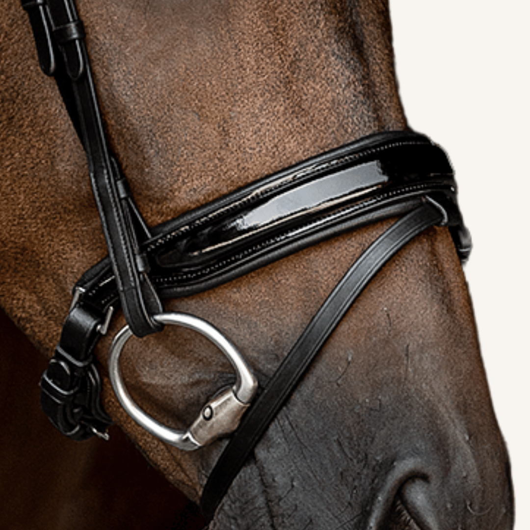 Trensenzaum Ravenna Pro mit Wunschstirnriemen