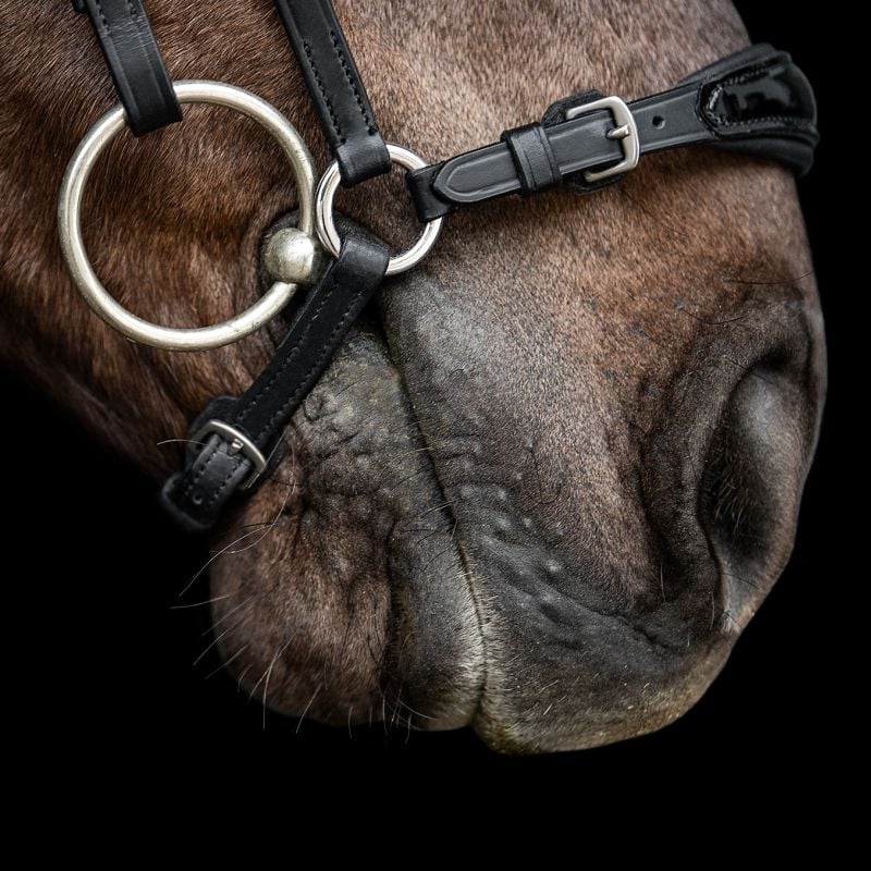 Trensenzaum Casoria Lackleder schwarz mit Wunschstirnriemen
