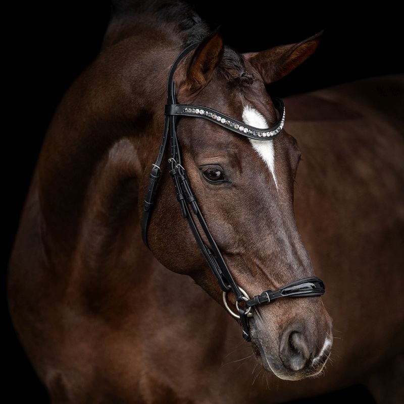 Trensenzaum Casoria Lackleder schwarz mit Wunschstirnriemen