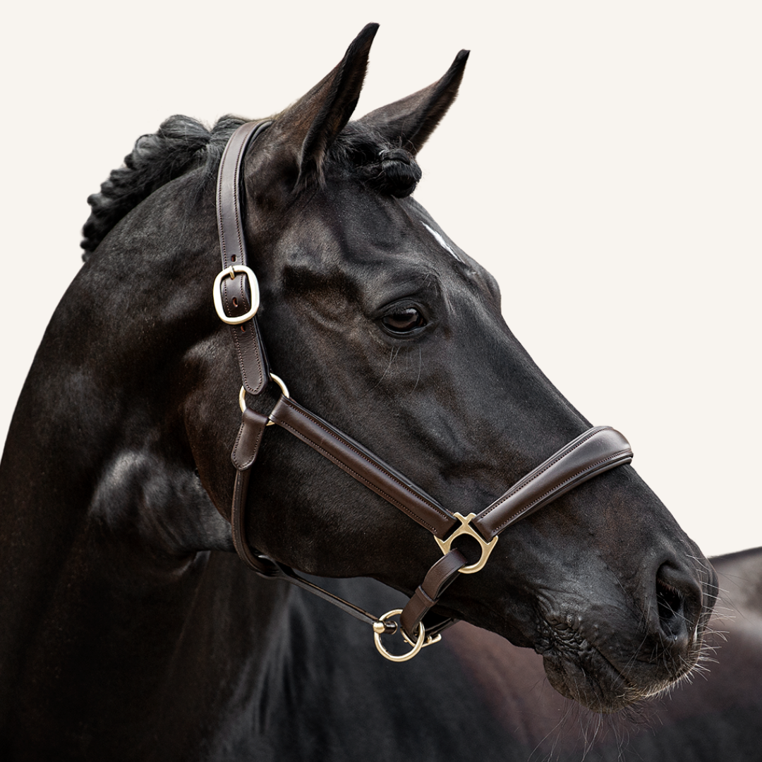 Halfter Merano mocca