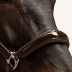 Halfter Messina Lackleder Glitter