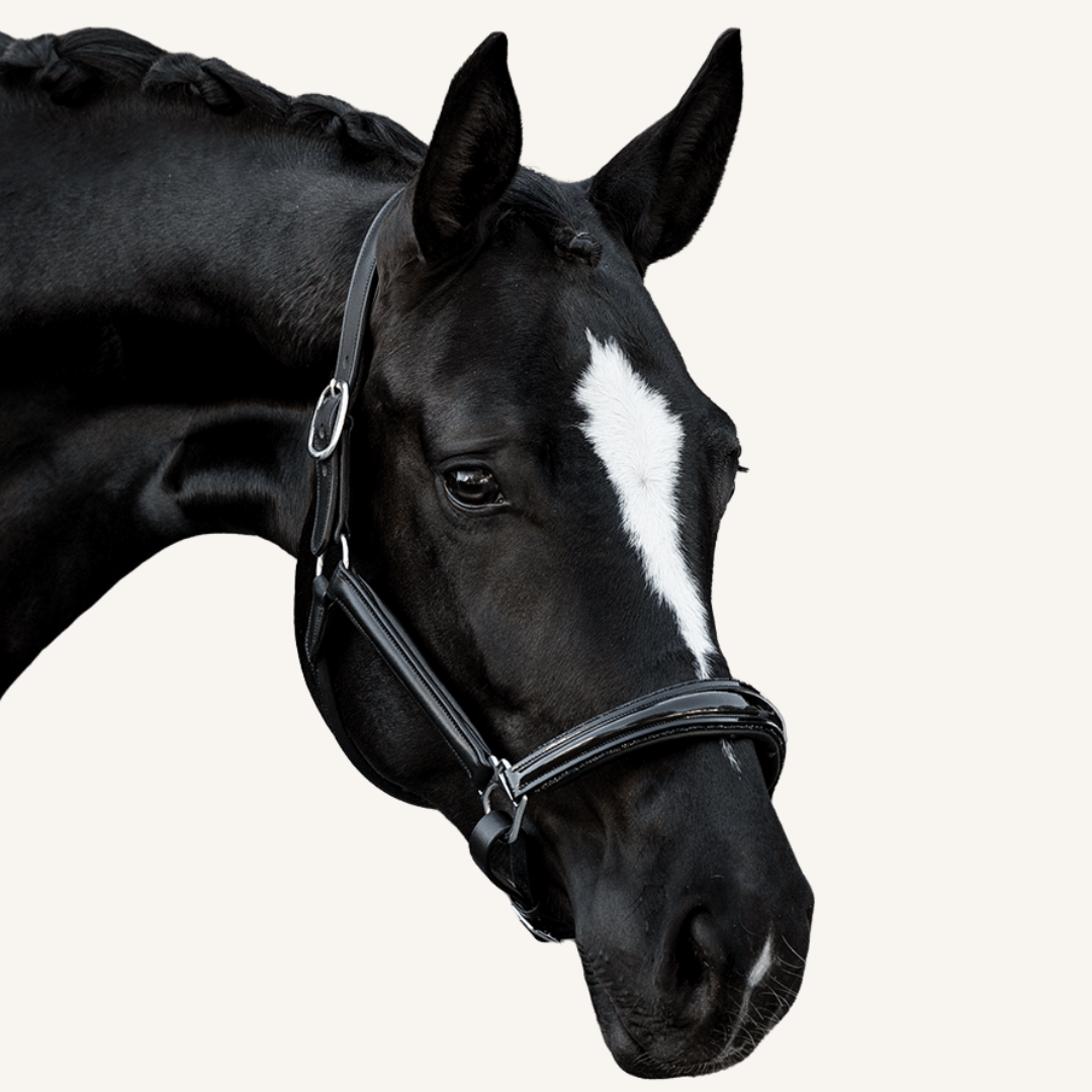 Halfter Messina Lackleder Glitter