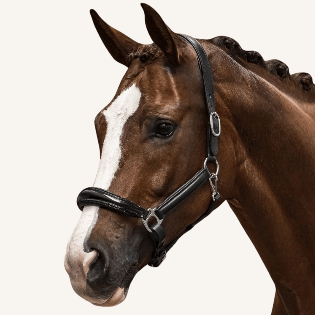 Halfter Messina Lackleder Glitter