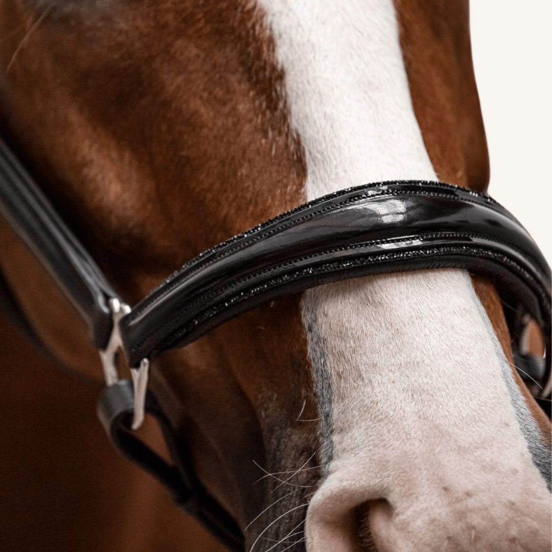 Halfter Messina Lackleder Glitter