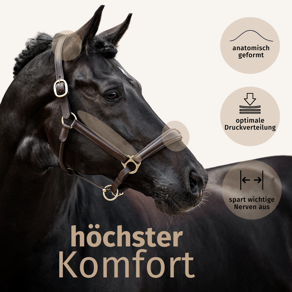 Halfter Merano mocca