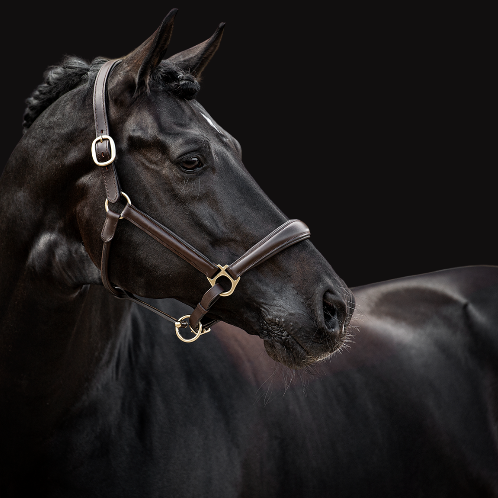 Halfter Merano mocca