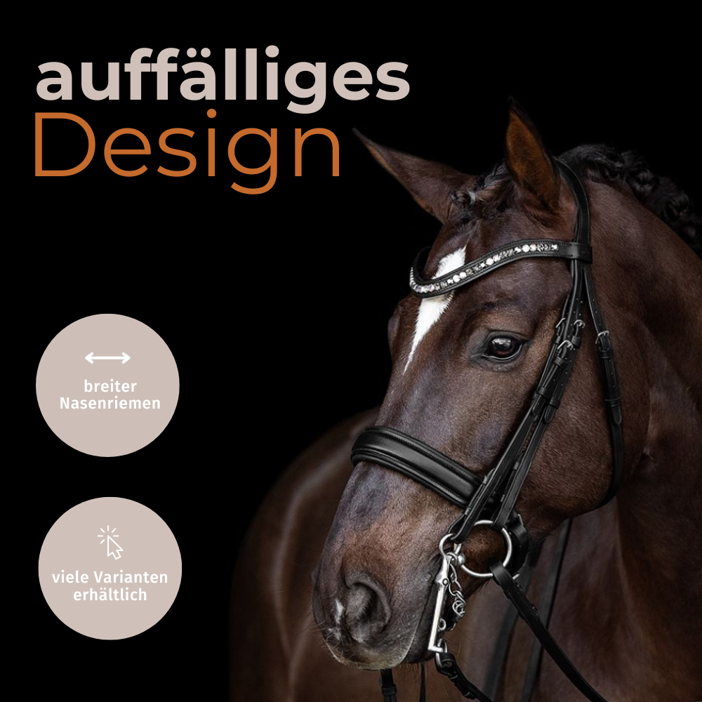 Kandarenzaum Ravenna mit Wunschstirnriemen