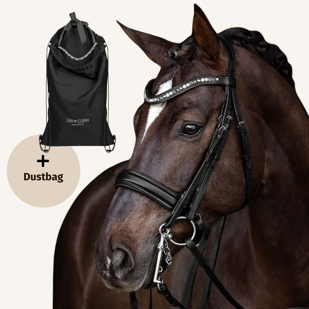 Set aus Kandare und Dustbag