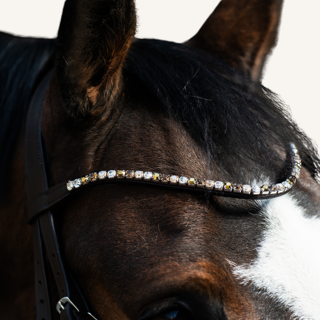 Stirnriemen Shades of Brown Extra Slim