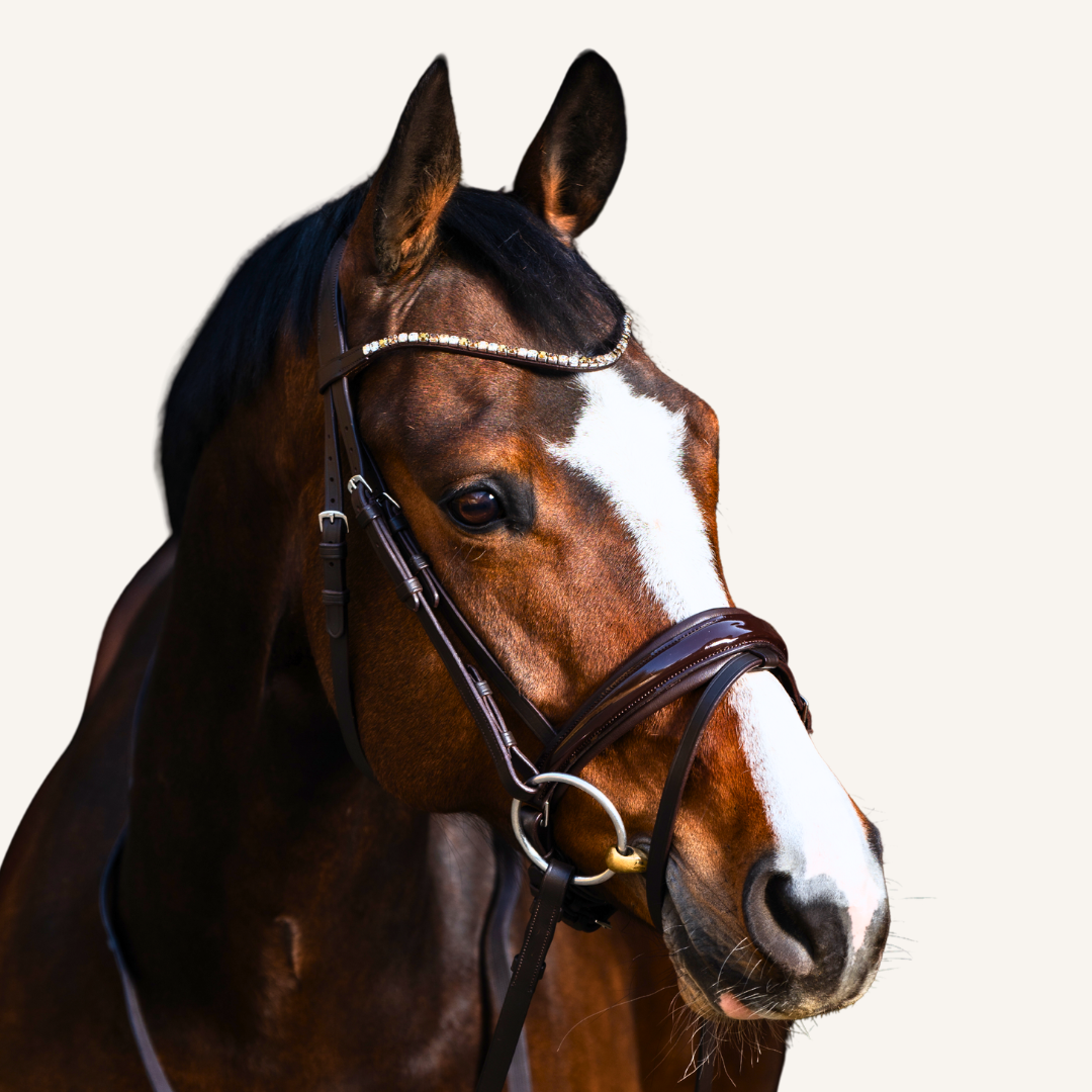 Stirnriemen Shades of Brown Extra Slim