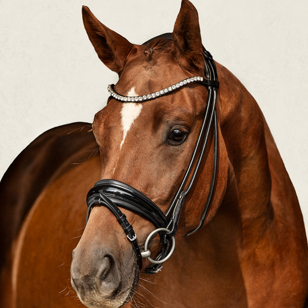 Trensenzaum Viadana mit Wunschstirnriemen