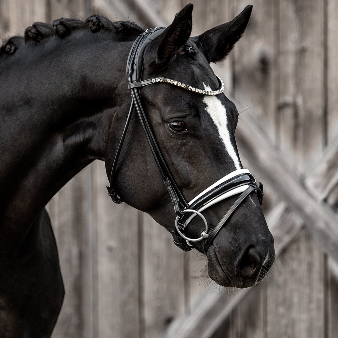 Trensenzaum Viadana mit Wunschstirnriemen