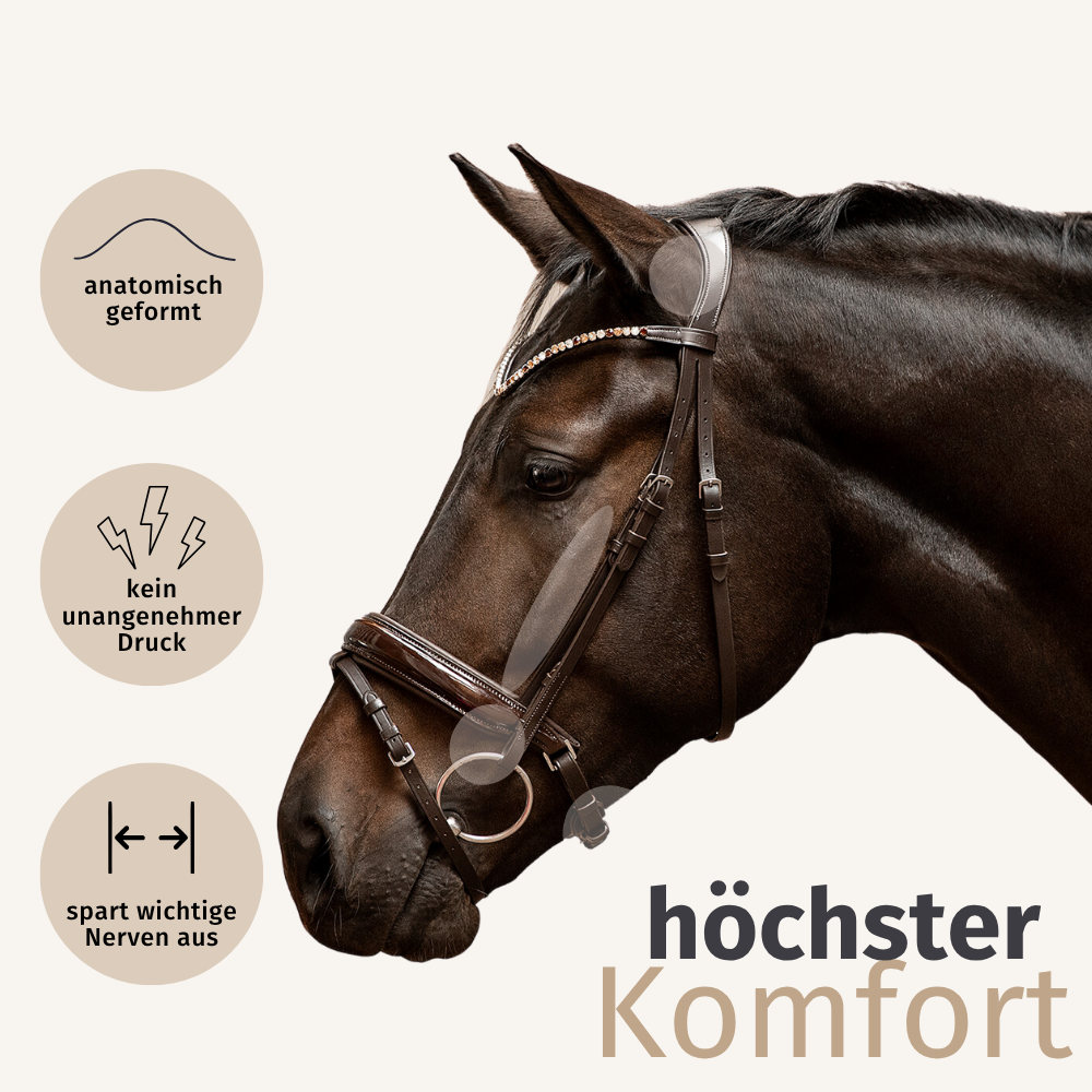 Trensenzaum Ravenna mit Wunschstirnriemen