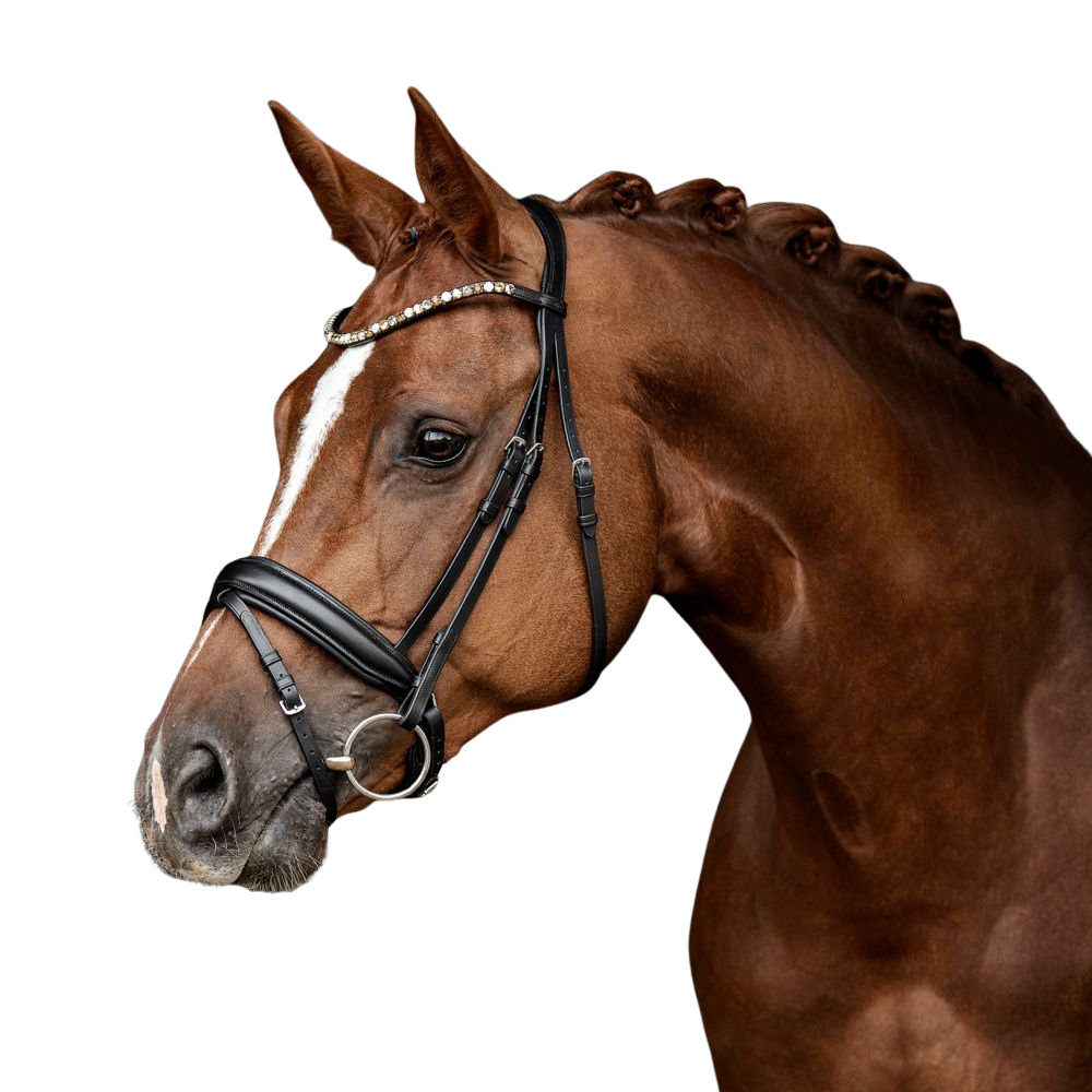 Trensenzaum Ravenna mit Wunschstirnriemen
