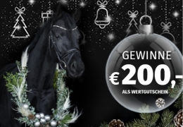 Weihnachtlicher Fotowettbewerb: Gewinne einen 200,- € Wertgutschein